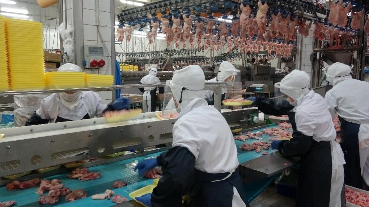 Gedik Pili&ccedil;, 2021&rsquo;de de &lsquo;Mutfağın Gediklisi&rsquo; olacak