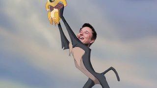 Elon Musk Dogecoin için video paylaştı!