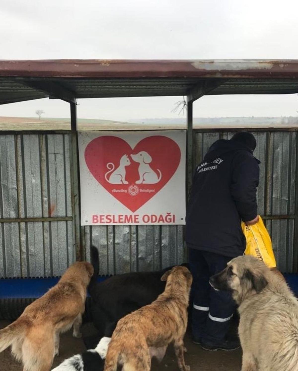 Sokağa &ccedil;ıkma yasağında sokak hayvanları unutulmadı