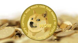  Dogecoin'den milyonlar kazandıktan sonra istifa etti