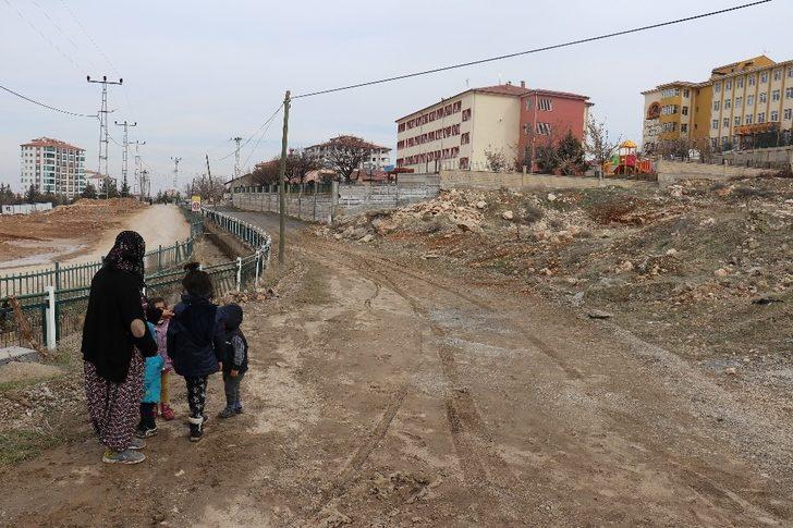 Sokak köpeklerinin saldırdığı kadın yaralandı G4