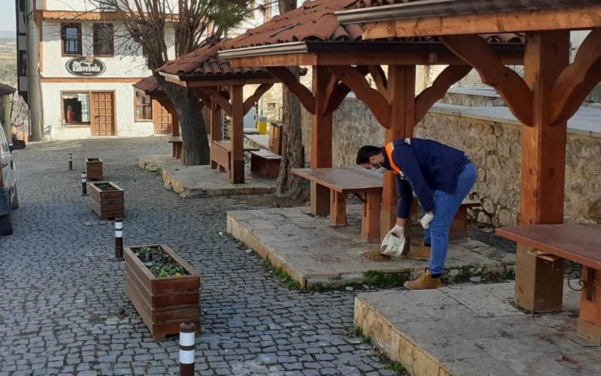 Safranbolu sokak hayvanları unutulmuyor