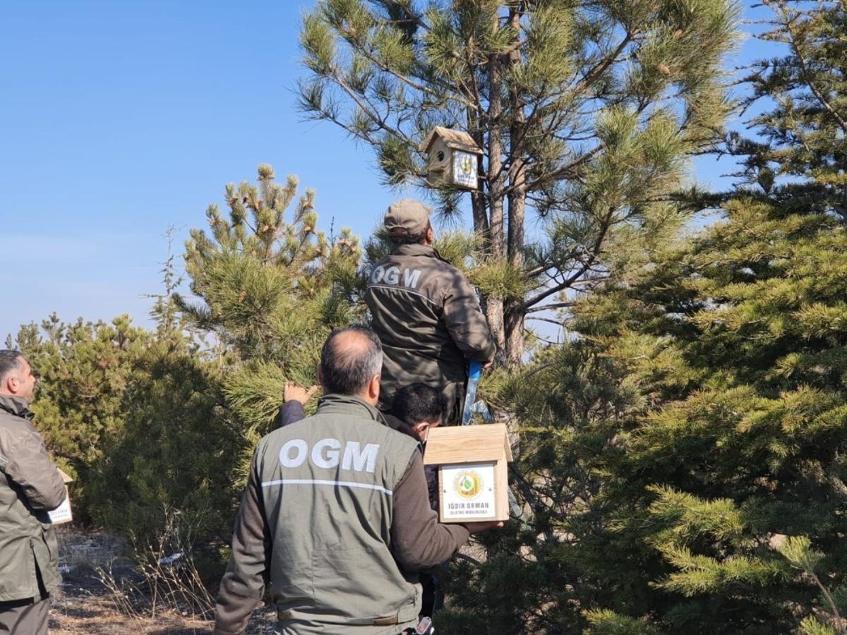 15 Temmuz Şehitler Ormanına kuşlar i&ccedil;in yuva bırakıldı