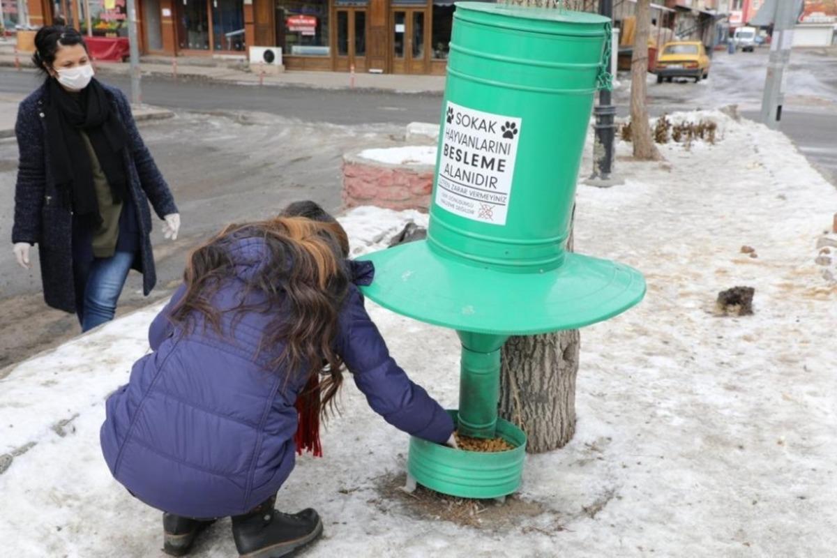 Kars&rsquo;ta belediye sokak hayvanlarına yiyecek bıraktı