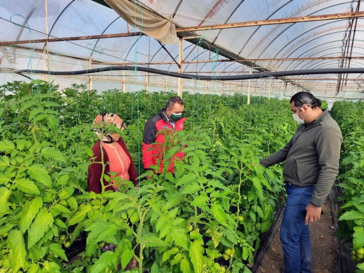 Pandemide tarımsal &uuml;retim arttı