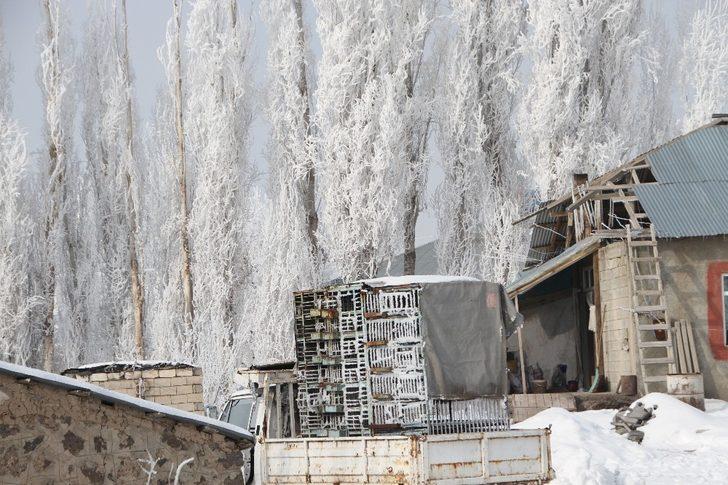 Malazgirt’te kırağı ile gelen güzellik G4