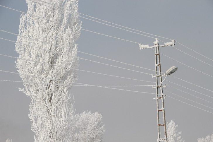 Malazgirt’te kırağı ile gelen güzellik G5