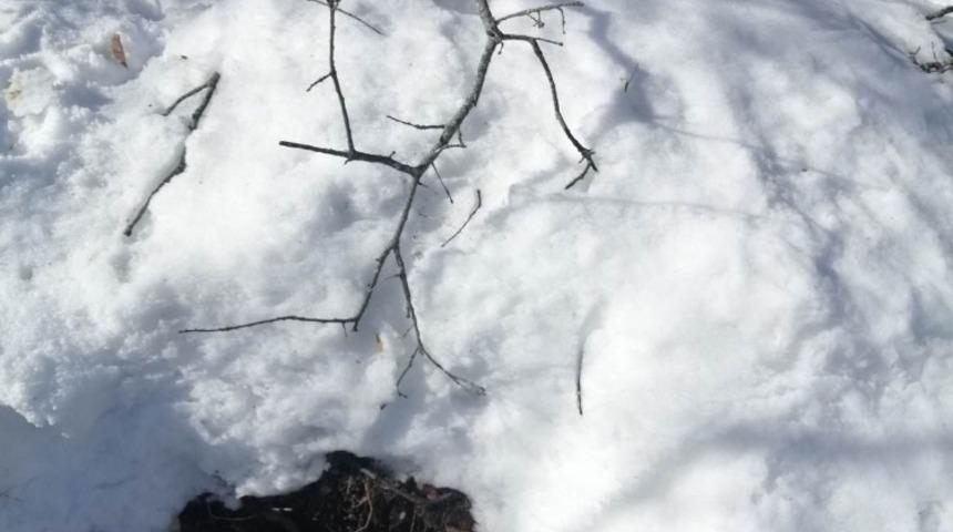 Ter&ouml;ristlere ait yaşam malzemesi ele ge&ccedil;irildi