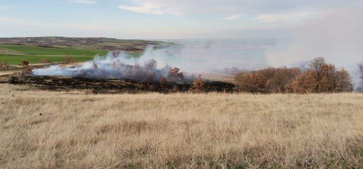 Tekirdağ’da ağaçlık alanda yangın G1