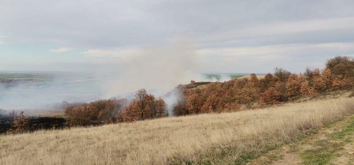 Tekirdağ’da ağaçlık alanda yangın G3