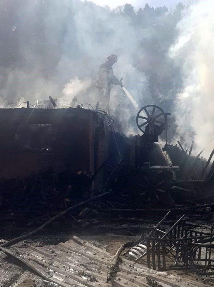 Kereste atölyesindeki yangında tavuklar ve köpek telef oldu G3