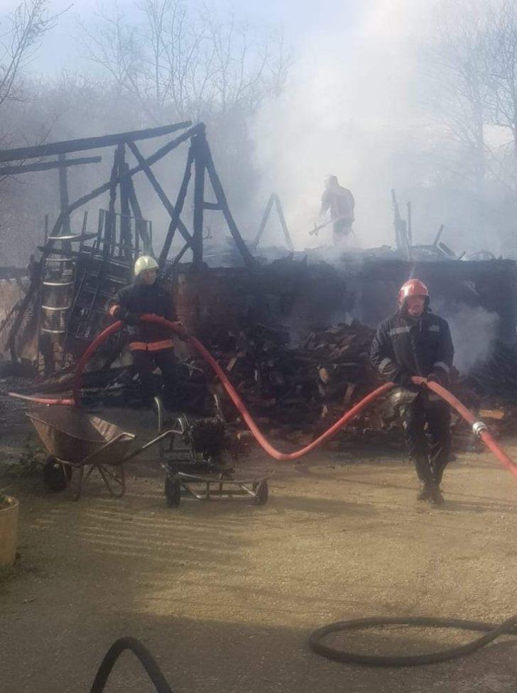 Kereste atölyesindeki yangında tavuklar ve köpek telef oldu G4