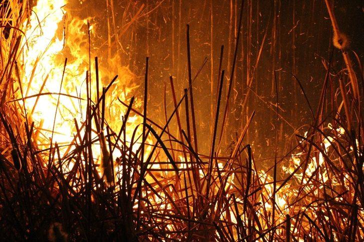 Yeşilırmak alev alev G5