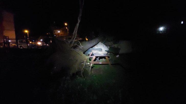 Silivri’de fırtına ağacı kökünden söktü G3