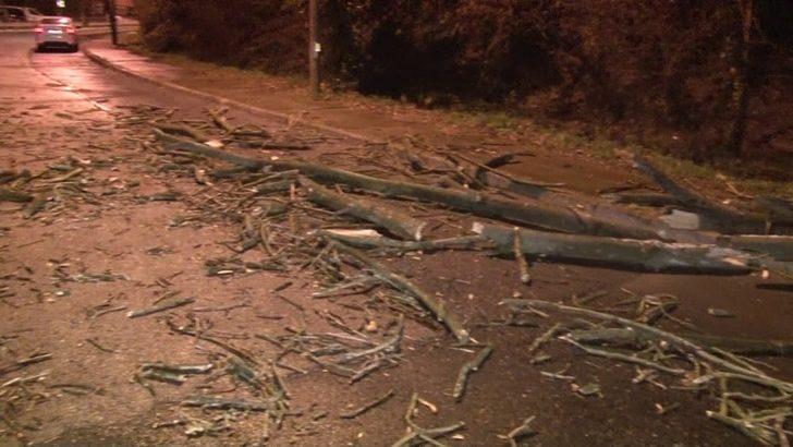 Beykoz’da fırtınada çınar ağacı yola devrildi G2
