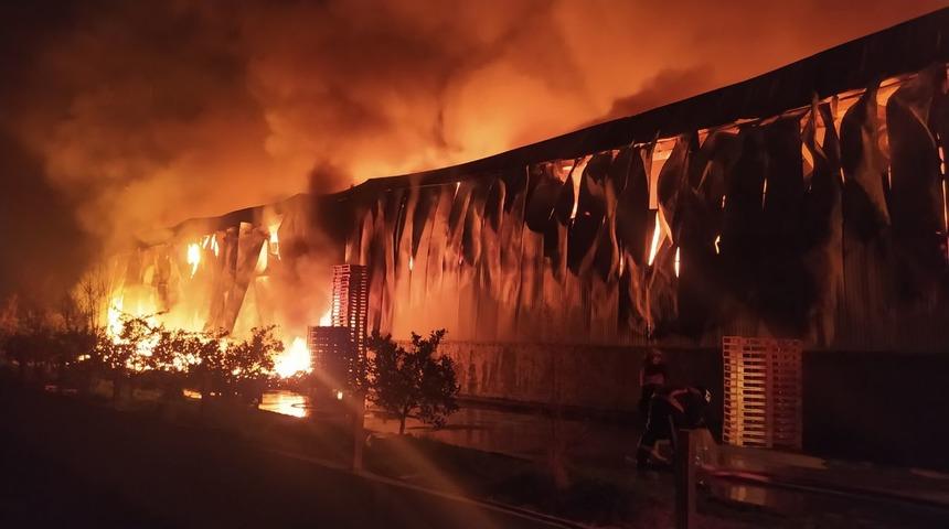 Mersin’de narenciye fabrikasında korkutan yangın
