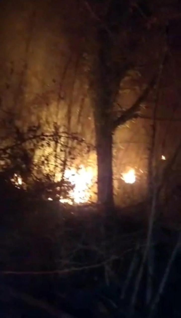 Akçakoca’da orman yangını G2