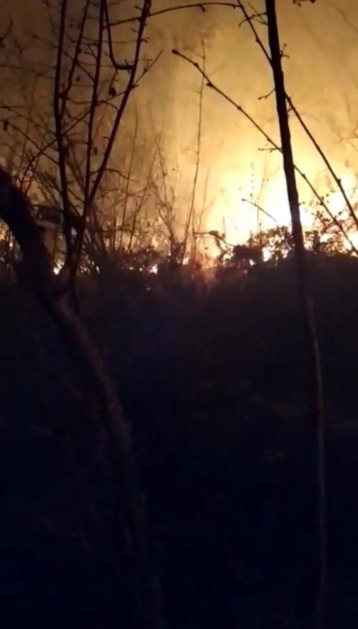 Akçakoca’da orman yangını G3