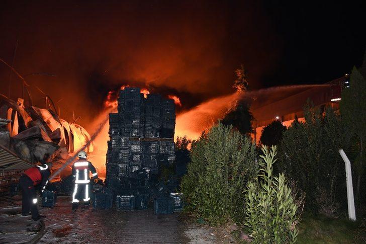 Mersin’de narenciye fabrikasında yangın G2