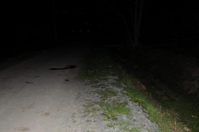 Sakarya’da yol kenarında başından vurulmuş erkek cesedi bulundu