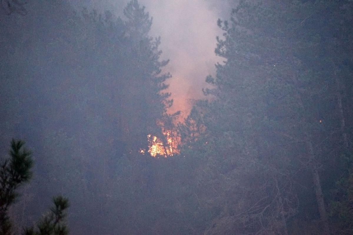 Kastamonu&rsquo;da 3 ev ve ormanlık alanı k&uuml;l eden yangın s&uuml;r&uuml;yor
