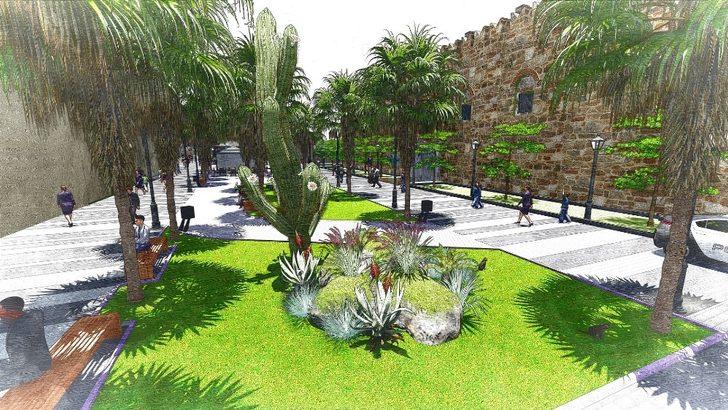 Kuşadası Belediyesi’nden palmiye açıklaması G1