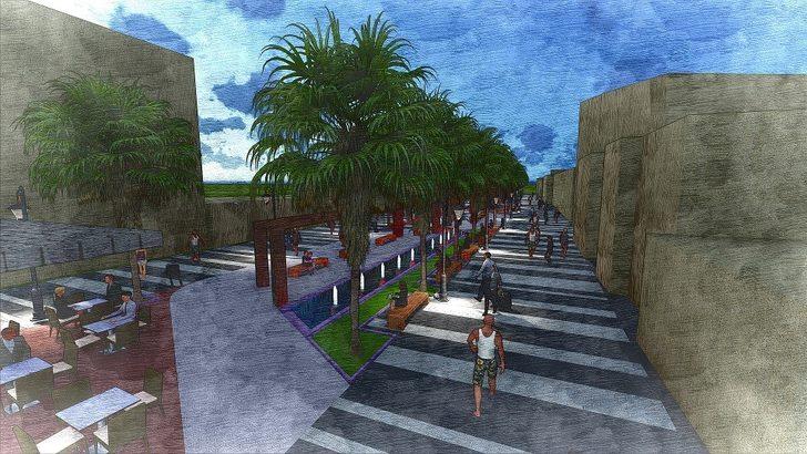 Kuşadası Belediyesi’nden palmiye açıklaması G3