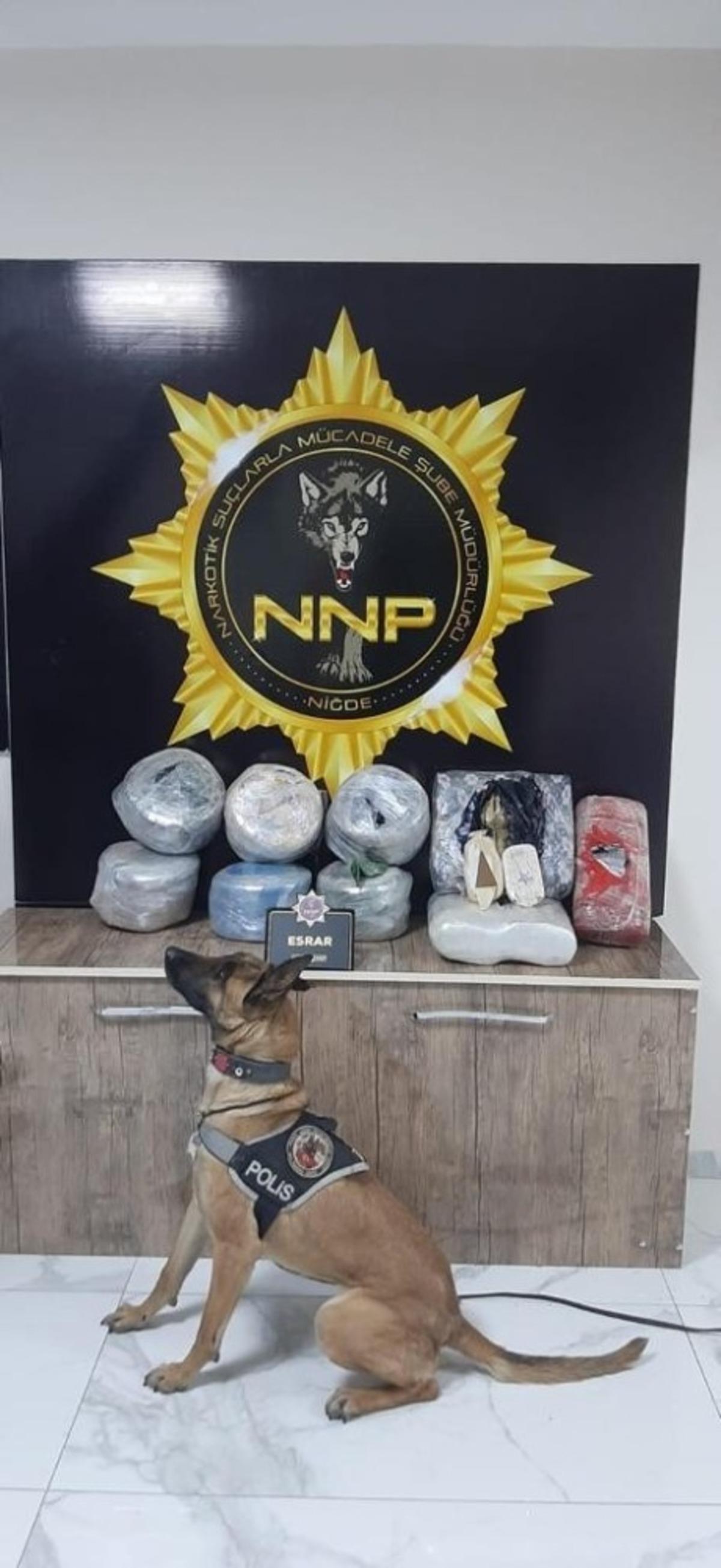 Muz kolileri i&ccedil;erisindeki 51 kilo esrarı Narkotik k&ouml;peği Cessi yakaladı