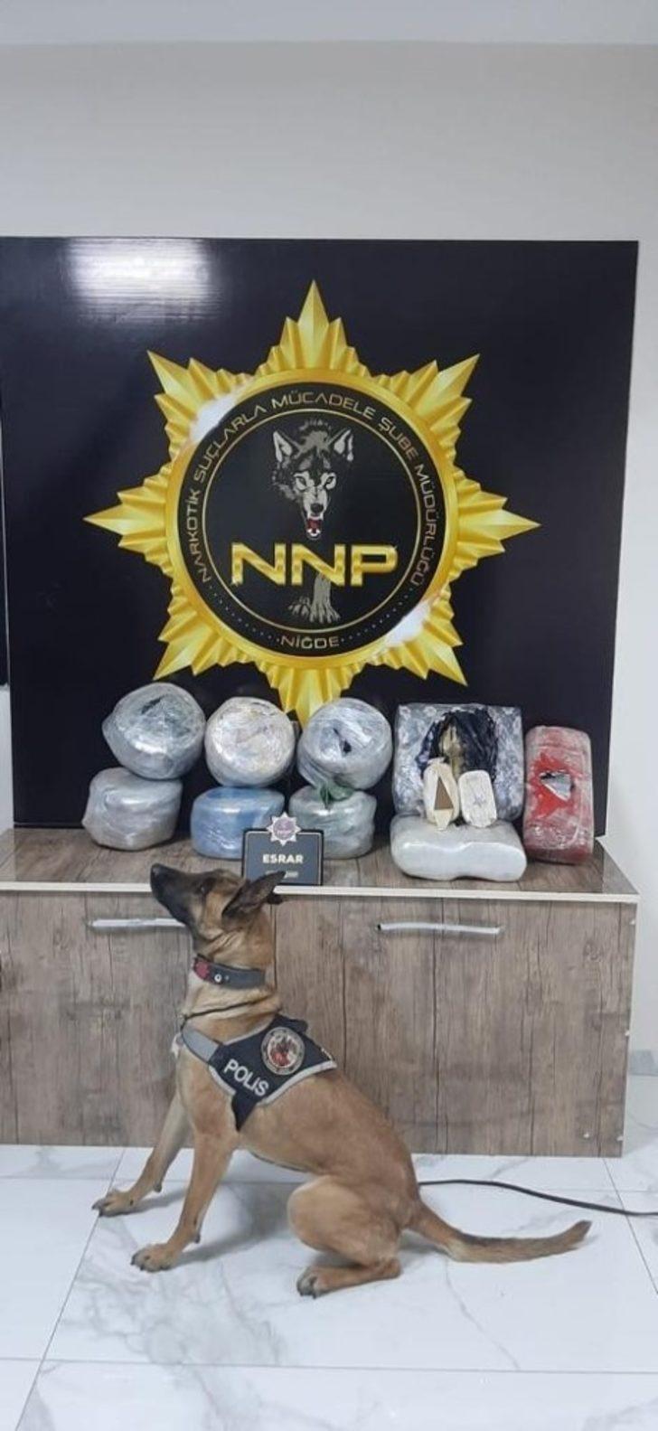 Muz kolileri içerisindeki 51 kilo esrarı Narkotik köpeği Cessi yakaladı G1