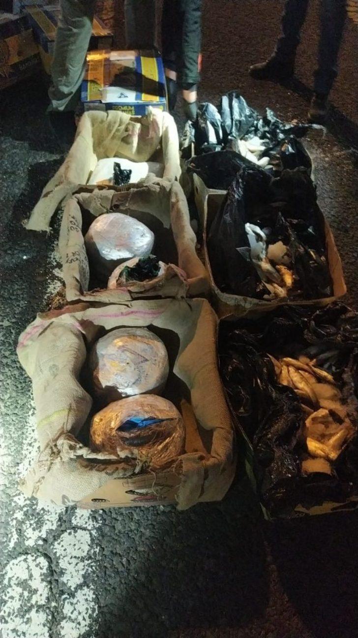 Muz kolileri içerisindeki 51 kilo esrarı Narkotik köpeği Cessi yakaladı G2