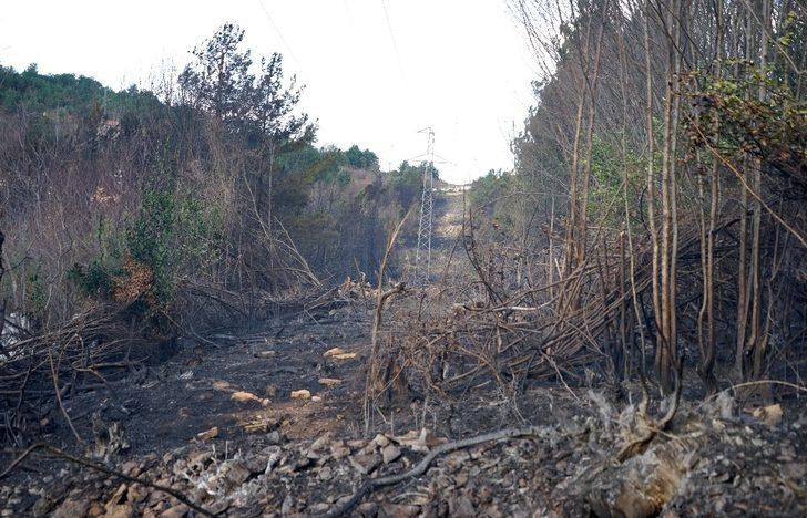3 mahalleyi boşaltan yangının izleri koyunların üzerinde G4