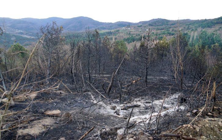 3 mahalleyi boşaltan yangının izleri koyunların üzerinde G5