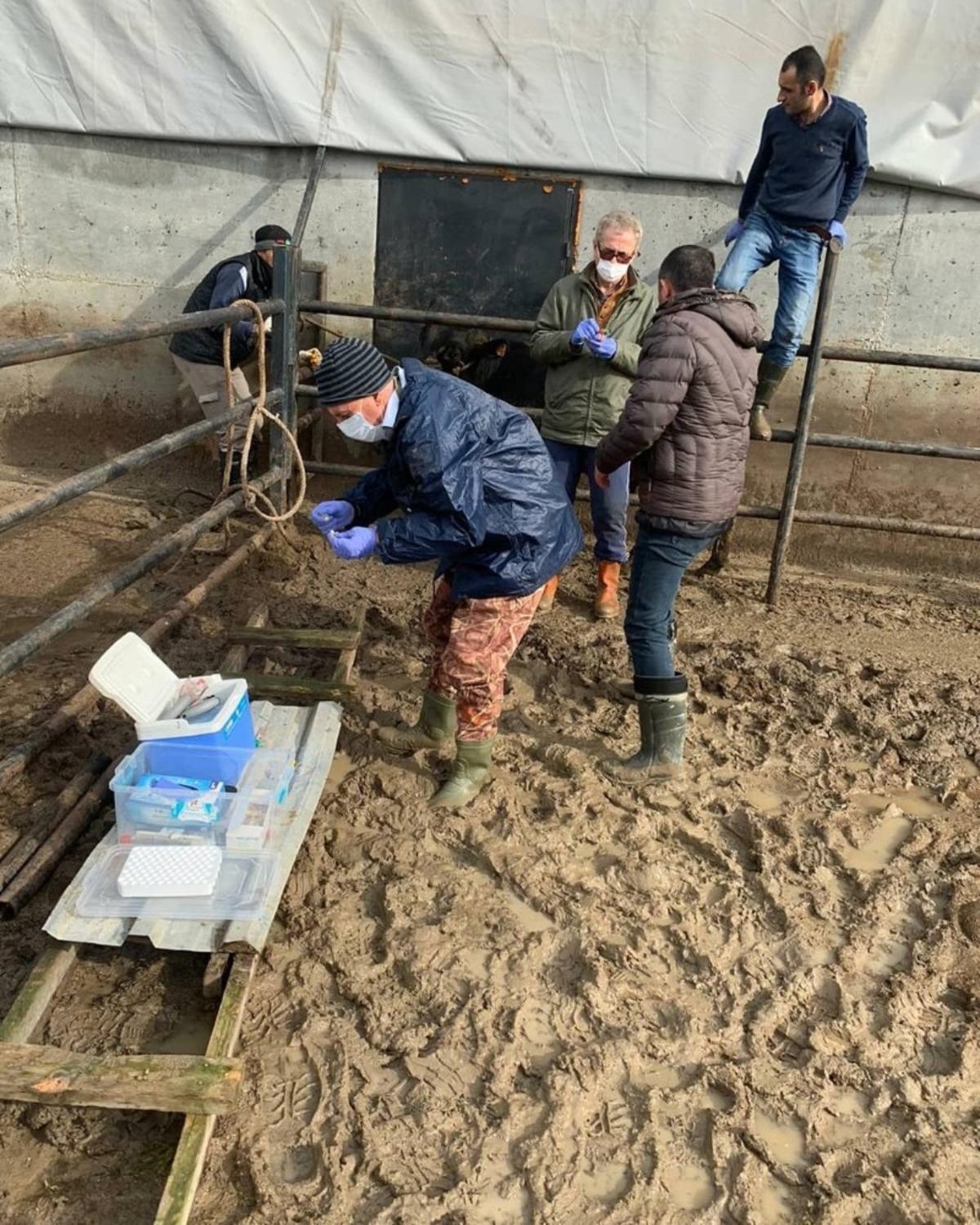 &Ccedil;orlu&rsquo;da korona vir&uuml;se rağmen tarım ve hayvancılık faaliyetleri s&uuml;r&uuml;yor