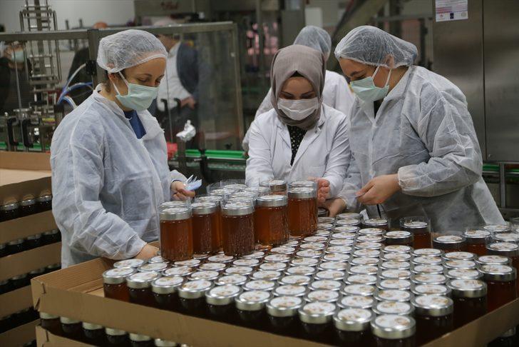 Ordu Arıcılık Araştırma Enstitüsü bünyesinden 2 bin ton bal ihracatı hedefleniyor G1