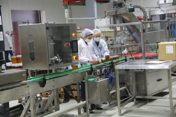 Ordu Arıcılık Araştırma Enstitüsü bünyesinden 2 bin ton bal ihracatı hedefleniyor G3