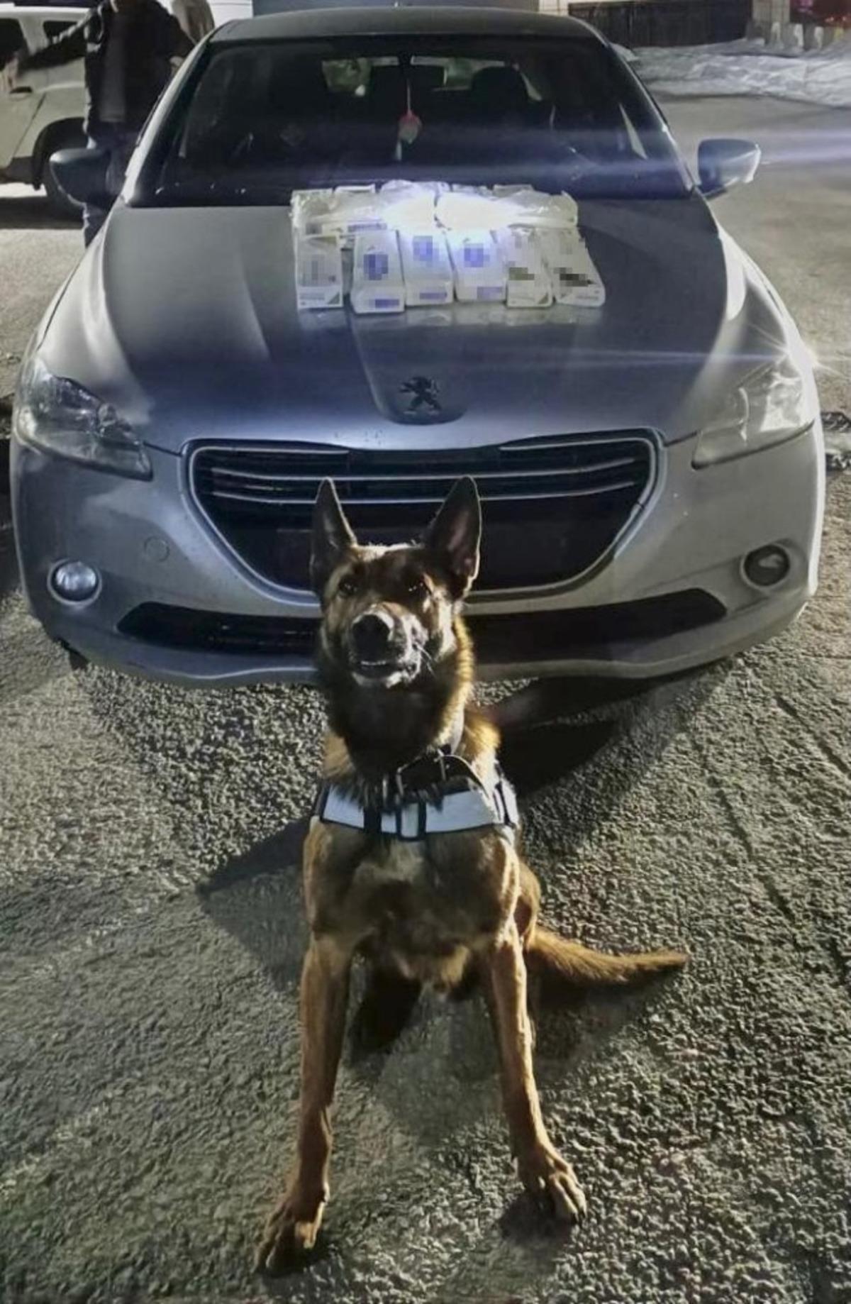 Sigara kartonları i&ccedil;inde 17 kilo metanfetamin ele ge&ccedil;irildi