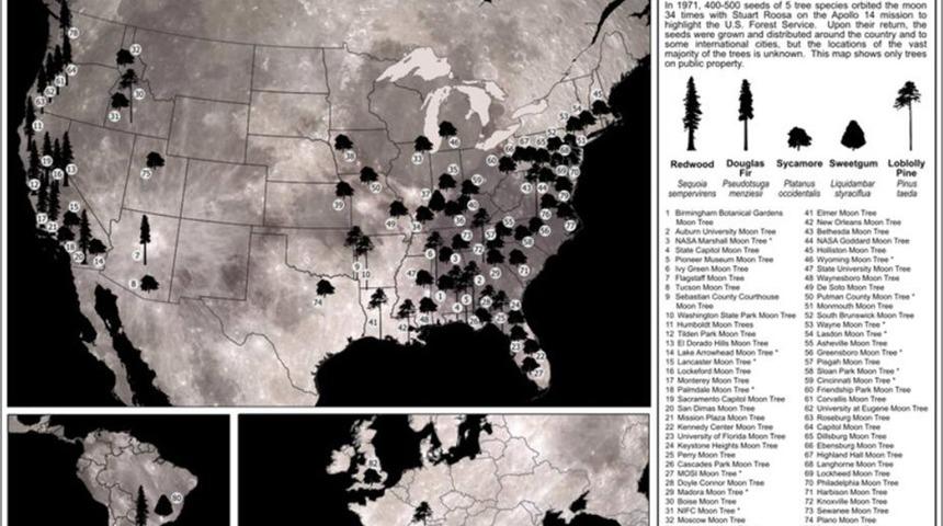 NASA, 50 yılın ardından Ay ağaçlarının haritasını yayınladı
