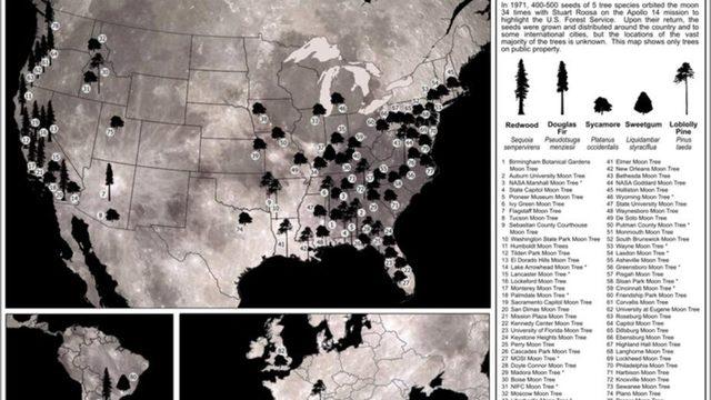 NASA, 50 yılın ardından Ay ağaçlarının haritasını yayınladı