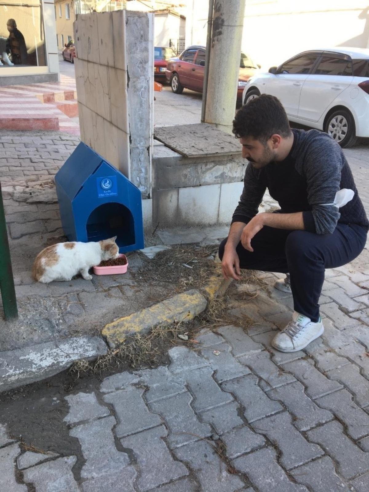 Sokak hayvanları i&ccedil;in barınak
