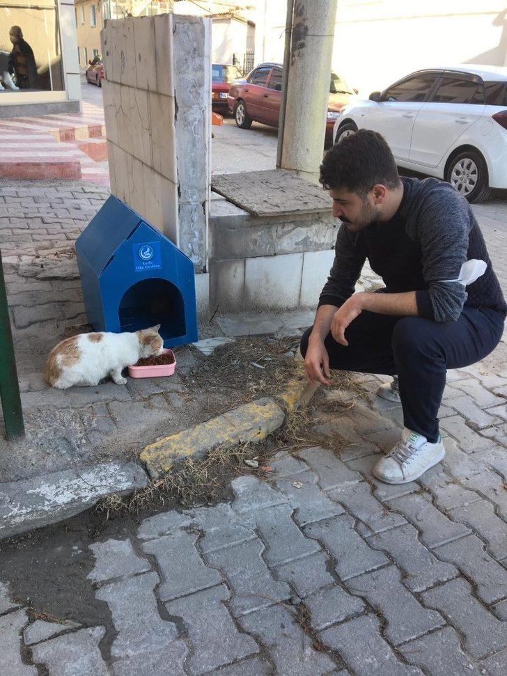 Sokak hayvanları için barınak G1