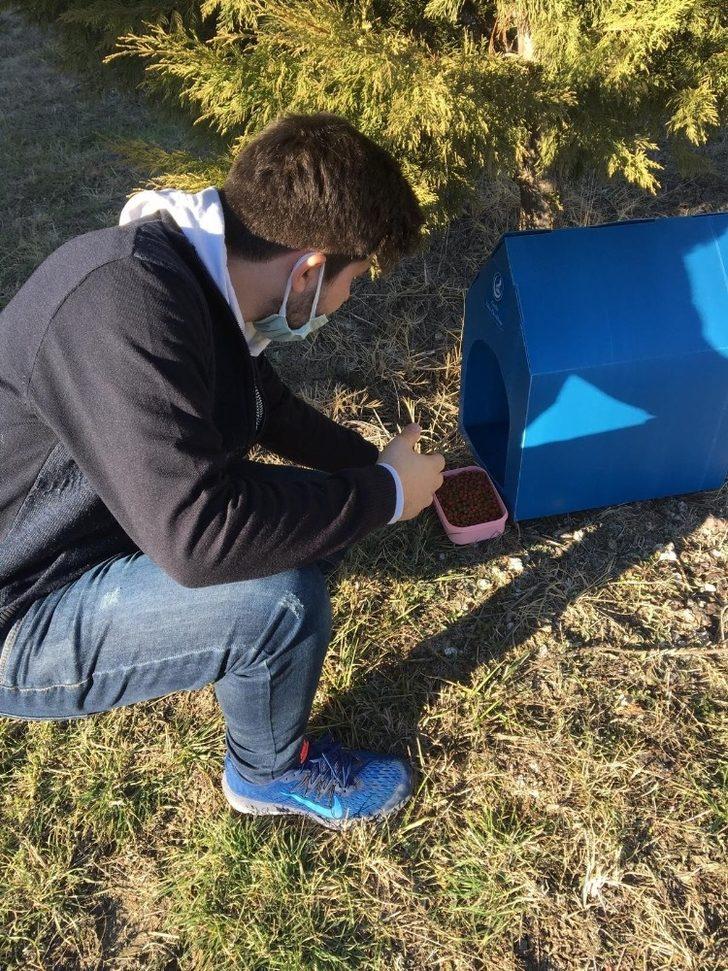 Sokak hayvanları için barınak G3