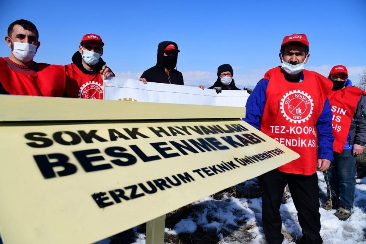 Tez-Koop-İş&rsquo;ten, ET&Uuml;&rsquo;n&uuml;n sokak hayvanlarına y&ouml;nelik uygulamasına destek