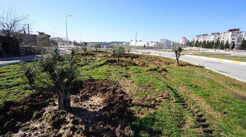 Ağa&ccedil;landırma &ccedil;alışmaları kavşaklarda devam ediyor