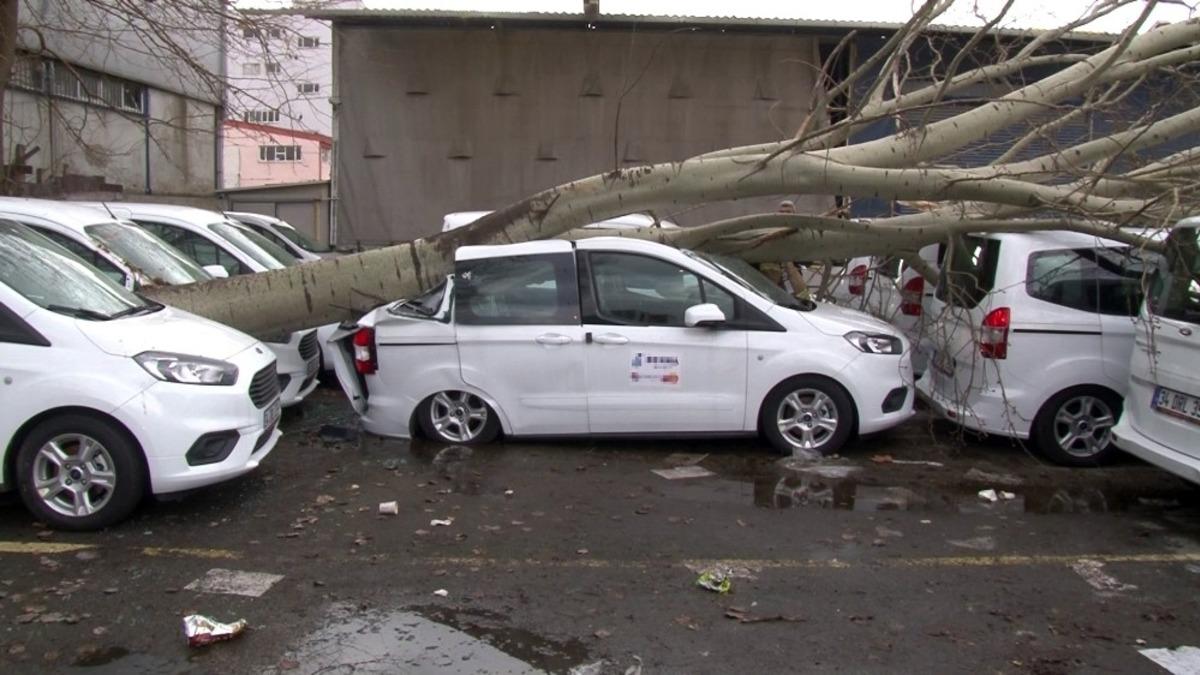 Şiddetli fırtına dev ağacı k&ouml;k&uuml;nden s&ouml;kt&uuml;, 3 ara&ccedil;ta ağır hasar meydana geldi