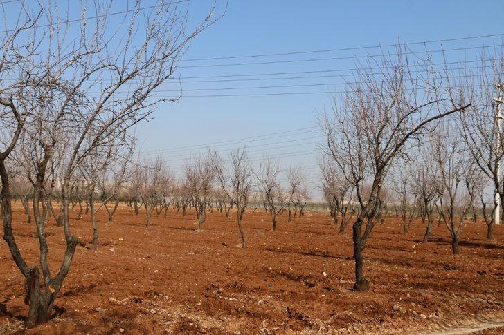 Hobi Bahçesi Proje çalışmaları devam ediyor G1