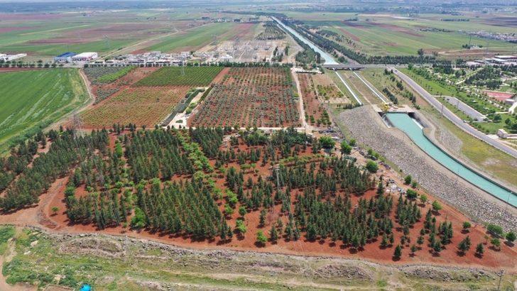 Hobi Bahçesi Proje çalışmaları devam ediyor G2