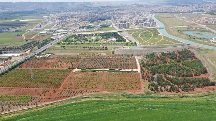 Hobi Bahçesi Proje çalışmaları devam ediyor G3