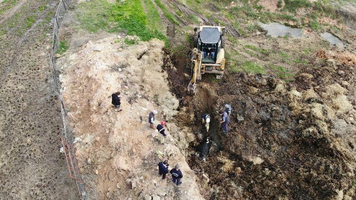 Çukurda mahsur kalan ineği kurtarma operasyonu havadan görüntülendi G5