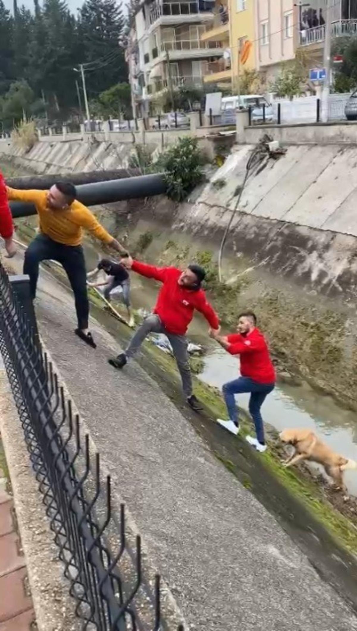 Su kanalına d&uuml;şen k&ouml;pek insan zinciriyle kurtarıldı