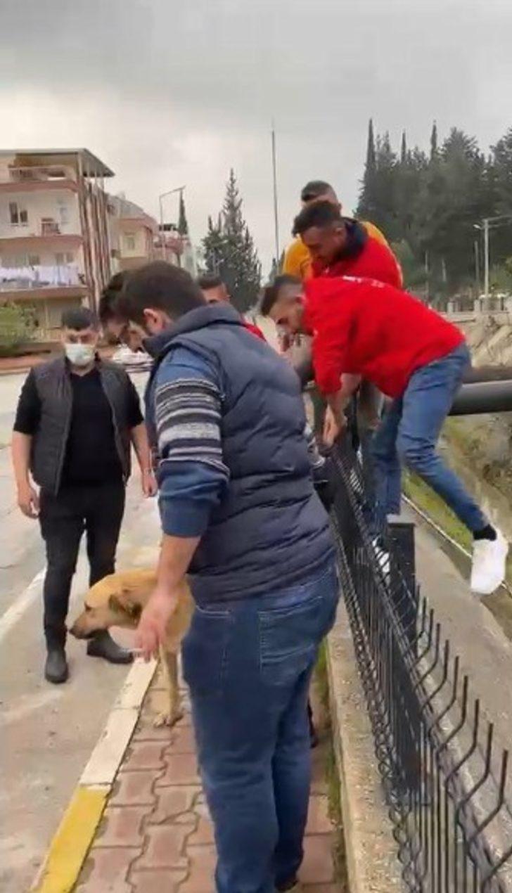 Su kanalına düşen köpek insan zinciriyle kurtarıldı G2